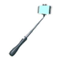 Selfie Stick  - Common from Influencer Update